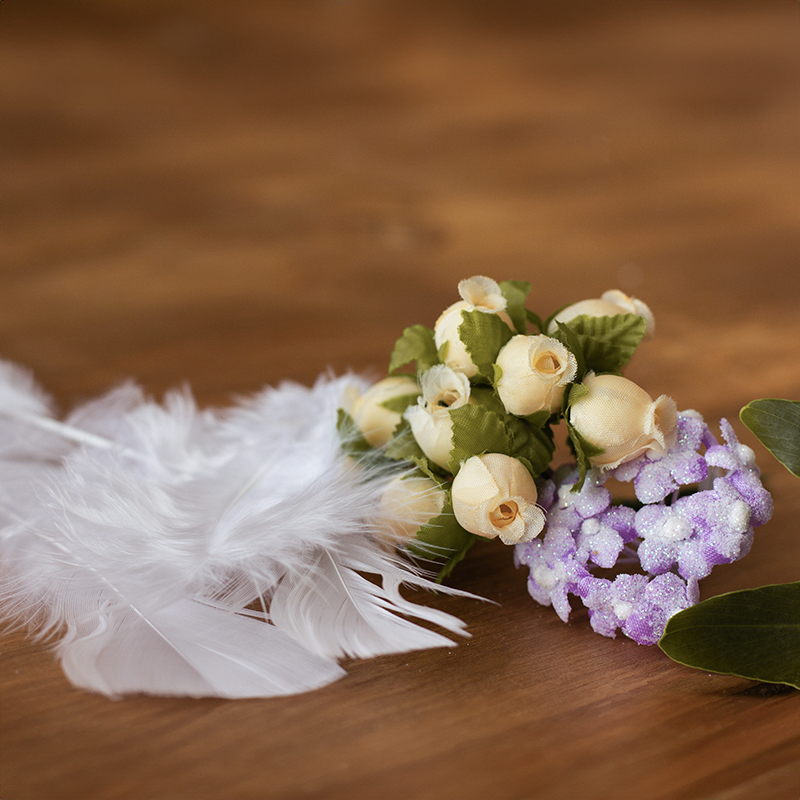 Plumas y flores