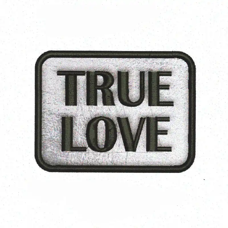 APLIQUE BORDADO TERMOAD TRUE LOVE ETIQUETA PLATEADA X 2UN