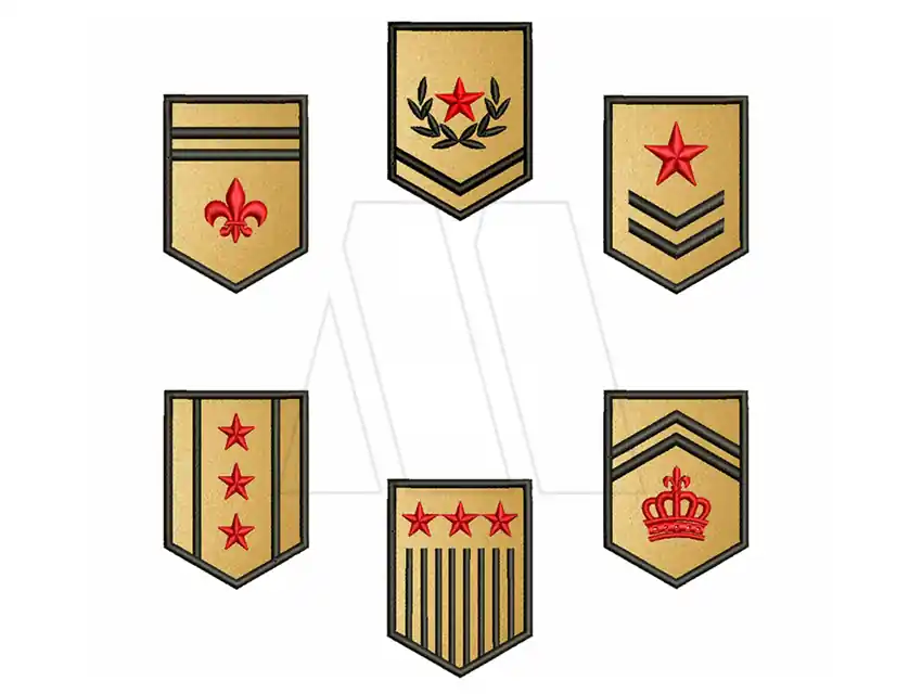 APLIQUE  BORDADO TERMOAD MILITAR DORADO X 6UN