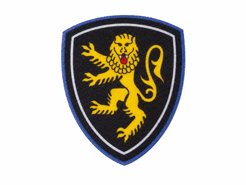 APLIQUE ESTAMPADO TERMOAD ESCUDO LEON X 6UN