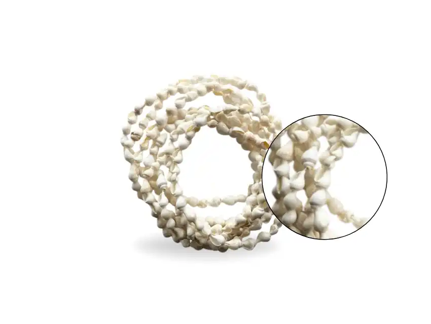 TIRA DE CARACOLES DE MAR X UN X 1,5MTS 