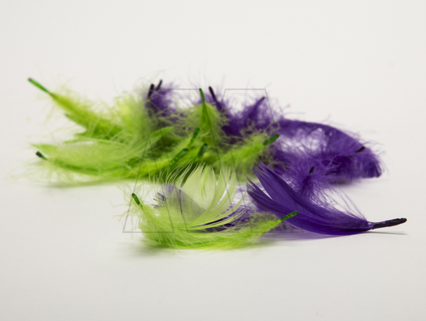 PLUMAS CHANTILLY CHICA X 3,5GRS