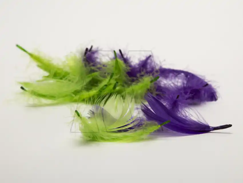 PLUMAS CHANTILLY CHICA X 3,5GRS