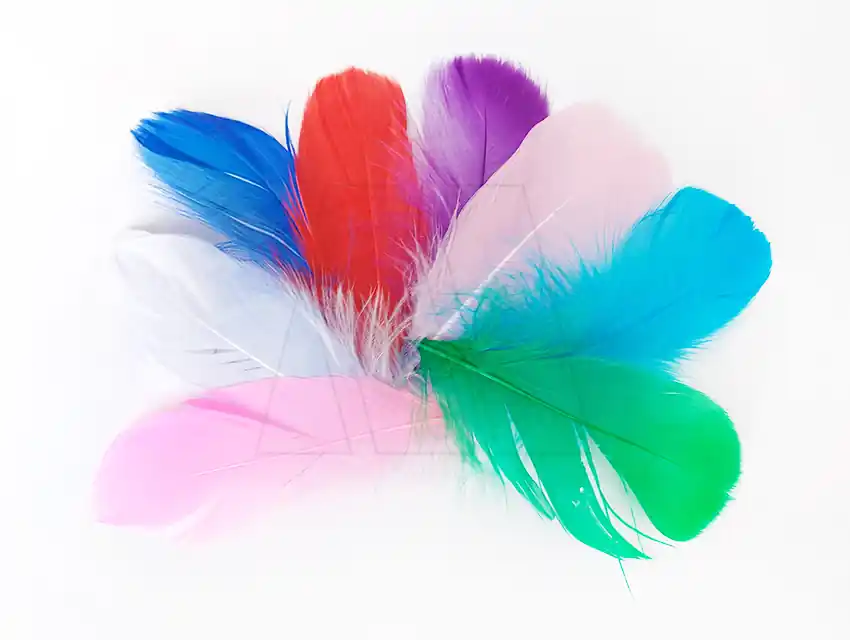 PLUMAS CHANTILLY CHICA SURTIDA CBX X 3,5GRS