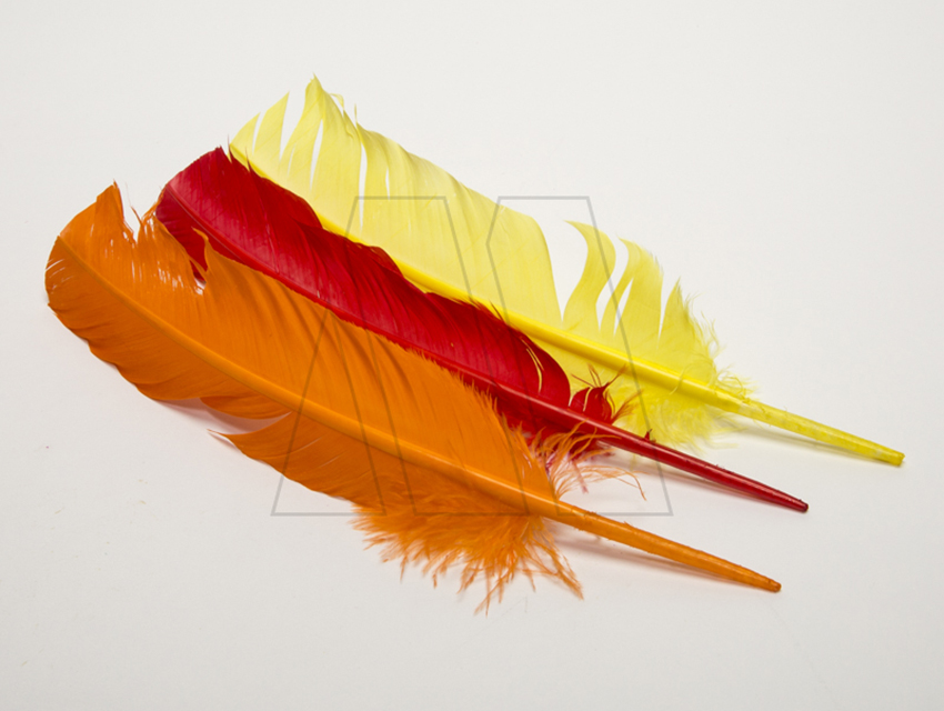 PLUMAS PARIS GRANDE X 10UN