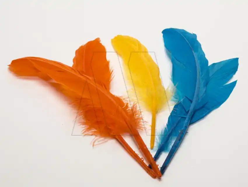 PLUMAS PARIS MEDIANA X 20GRS