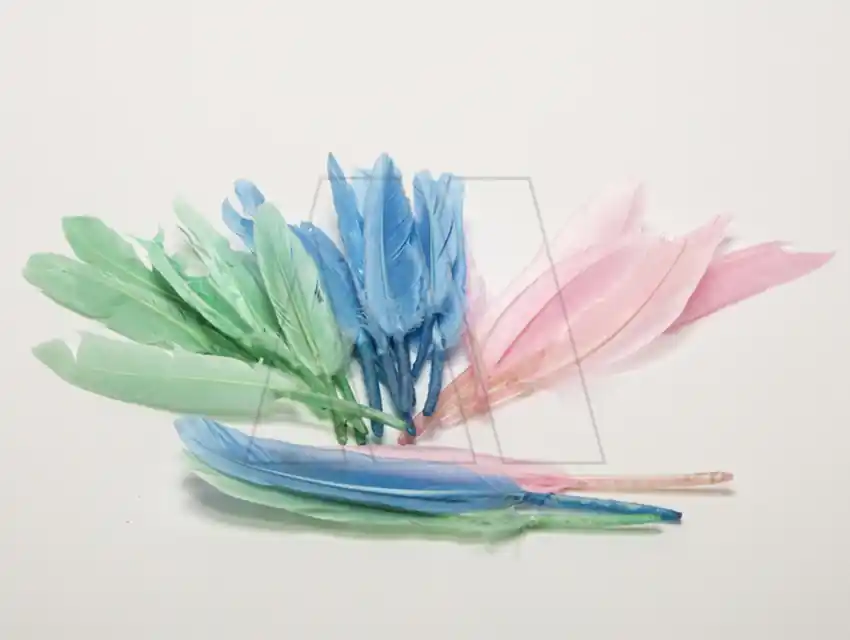 PLUMAS PARIS CHICA X 12.5GRS