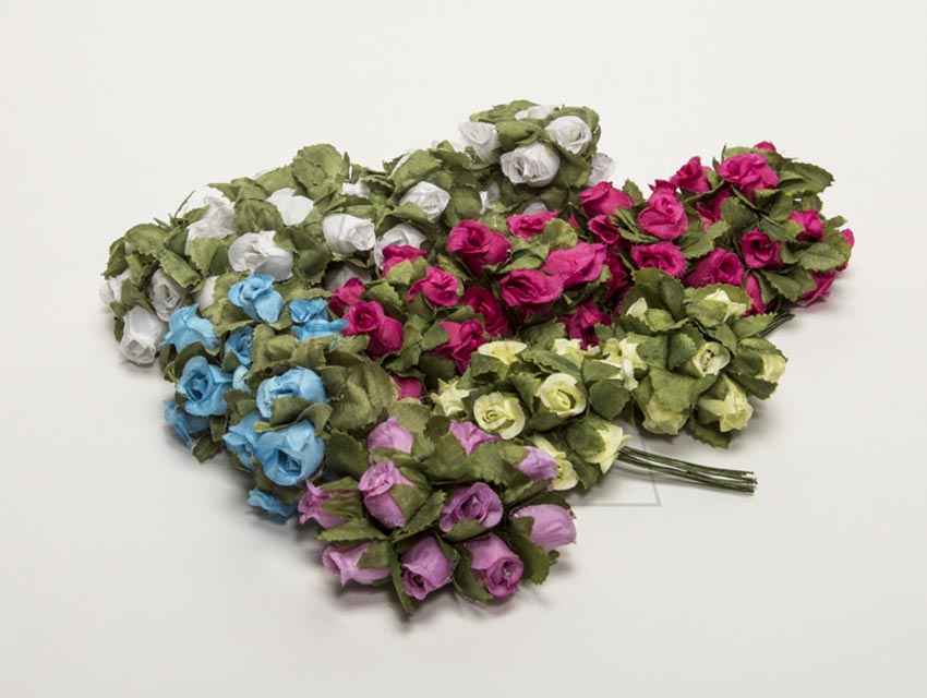 ROSA MINI X 144UN