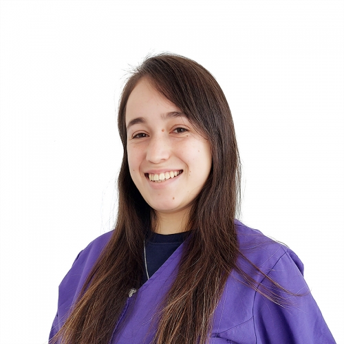 Ventas - Adriana Rodriguez Guillen